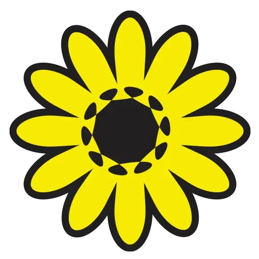 sunshine and daisies women's t-shirts favicon